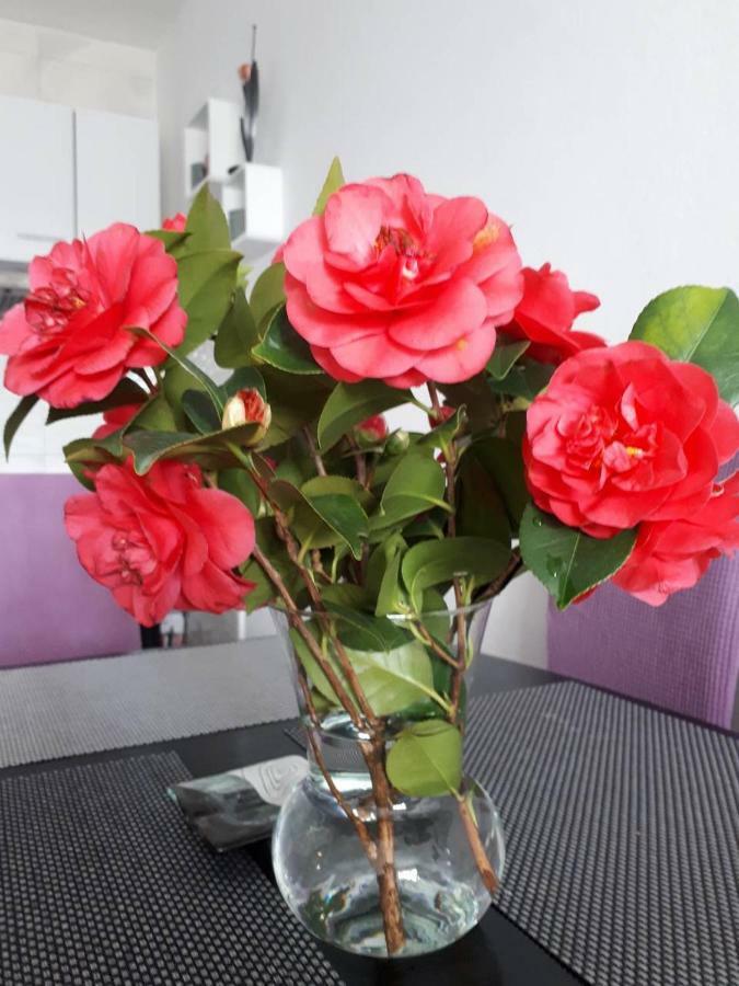 Apartment "Kamelia"ซัฟทัท ภายนอก รูปภาพ